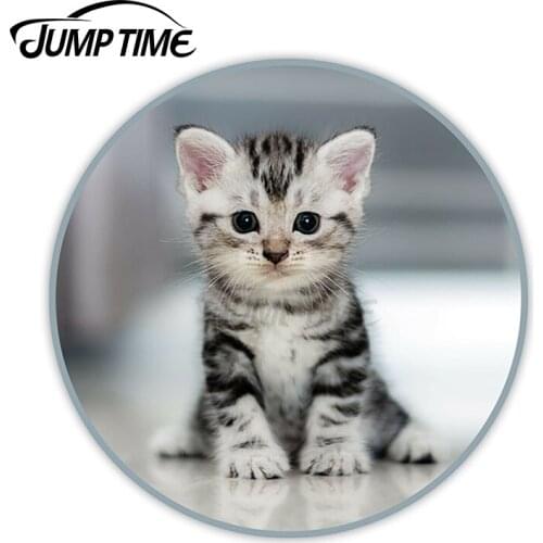 Jump Time for Cute Grey Kitten Vinyl Stickers Cat Funnyny Sticker Laptop Luggage Waterproof Car Styling Accessories