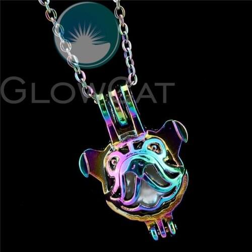 R-C703 Rainbow Colors 25mm Puppy Dog Head Beads Cage Pendant Perfume Diffuser Oyster Pearl Cage Locket Necklace