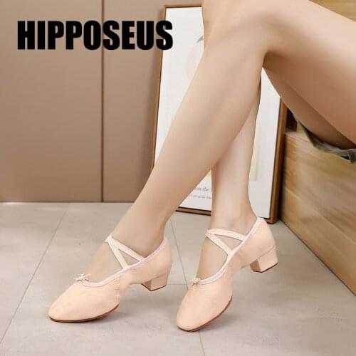 Ballroom Modern Dance Shoes Professional Tango Latin Salsa Soft Sole Practice 3.5cm Low Square Heel Shoes for Women/Ladies/Girls