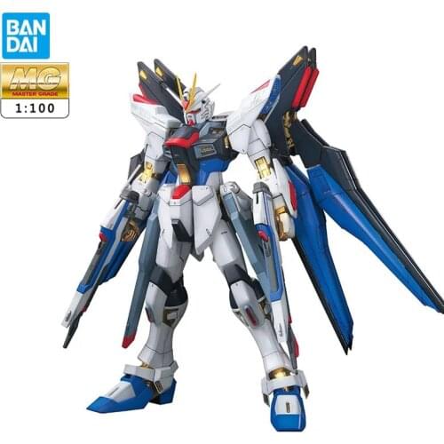 Bandai MG 1/100 Raider Free Gundam Deluxe Edition Free Assembly Model Anime Figures Anime
