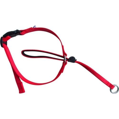 New Pet Headcollar For Dogs Gentle Control Training Collars No-Pull Painless Head Leash Collar