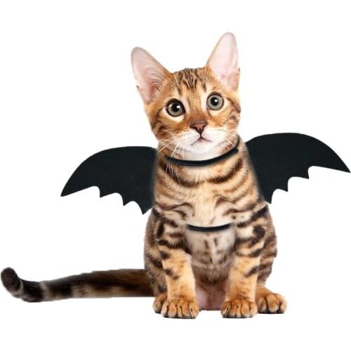 2021 NewBat wings Cutting Dies Wooden Knife Die Compatible With Most Manual Die Cut Cutters