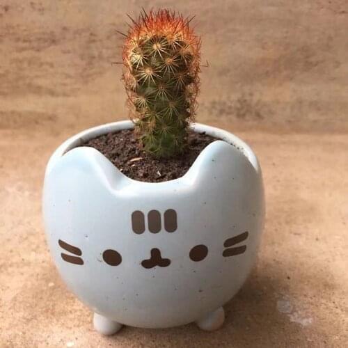 5pcs/set Succulent Flower Pot Ceramic Plant Pot With Hole Cute Animal Bonsai For Flowers Flowerpot Little Cat Home Garden Decor