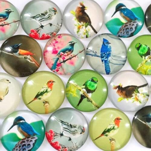 ZEROUP 12mm 20mm Round Glass Cabochon Birds Pictures Mixed Pattern Fit Cameo Base Setting for Jewelry TP-060-R