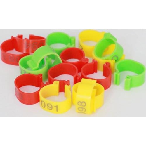 Uvet New style Chicken feet ring Open style Buckle Chicken duck Goose use Foot ring With word birds Foot ring