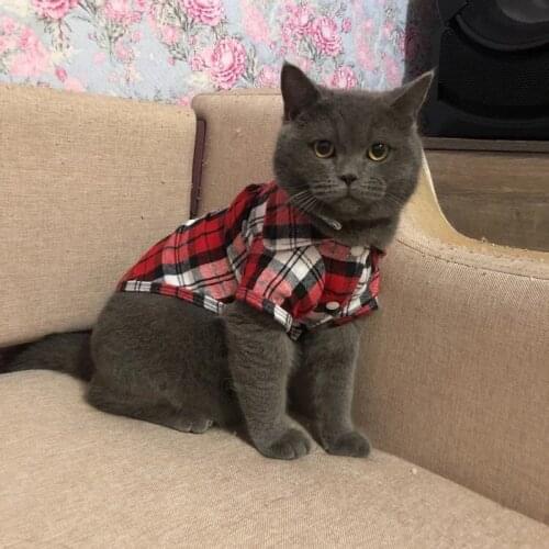 British Style Cat Clothes Summer Fashion Cat Shirts Coat For Small Cats Shirt Clothing Puppy Kitten Outfits Pet Dog Clothes