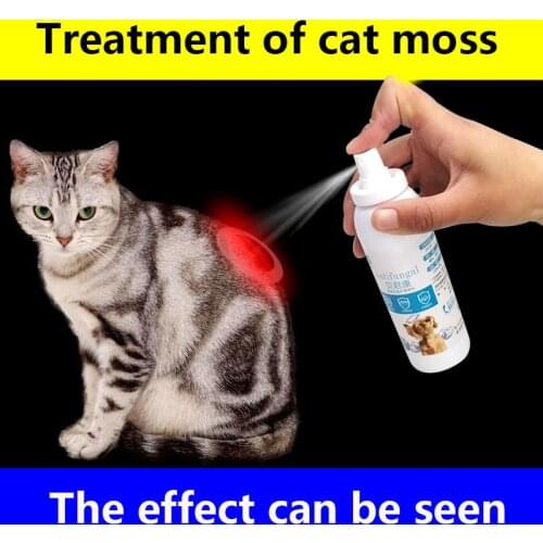 Special spray for cat ringworm skin disease in addition to cat moss 120ml kitty cat pet supplies spray itching