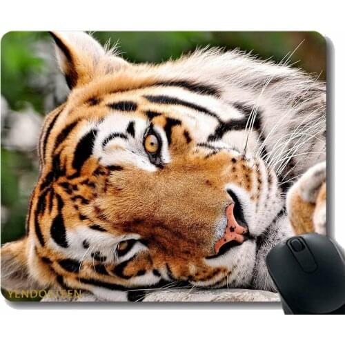 Mouse Pad,Tiger Muzzle Paws Big Cat 40429 Gaming Mouse Mat