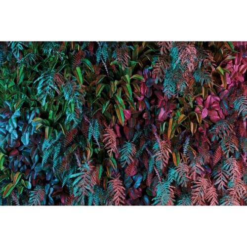 Summer Tropical Plant Leaves Nature Scenery Baby Portrait Backdrop Photography Background For Photo Studio Vinyl Photophone Prop