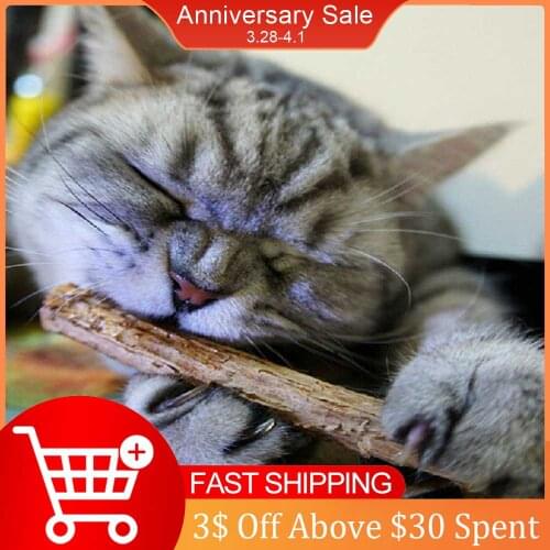 15/20pcs Natural Fruit Matatabi Cat Snacks Sticks Catnip Pet Cat Molar Rod