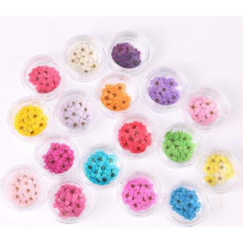 Plukotelu Materials For Nail Design