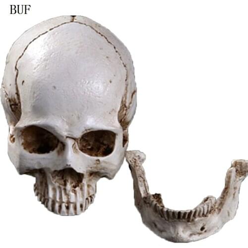 BUF Resin Craft Statues For Decoration Skull Head Creative Skull Figurines Sculpture Ornament Home Decoration Accessories