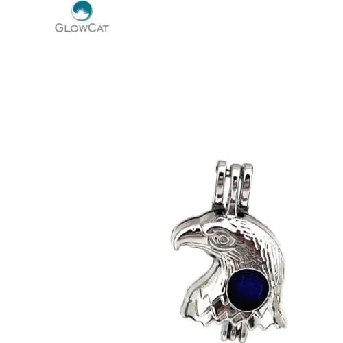 K629 5pcs/lot Hawk Eagle Pearl Cage Locket Essential Oil Diffuser Aroma Beads Pendant Fairytale Party Essential Oil Diffuser