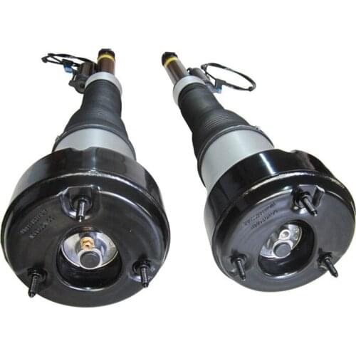 2213202113 2213202213 Rear Air Suspension Adjustable Air Shocks for Mercedes W221 Suspension Strut