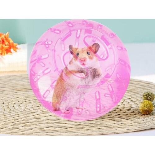 Hamster Ball For Rats Hamster Toys Gerbil Exercise Portable Funny Pet Jogging Ball Running Balls Small Animals Antistress