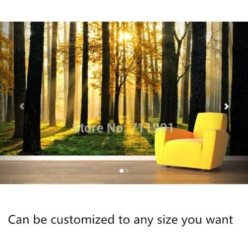 Free shipping to customize large murals Breaking Sun Forest Wallpaper Mural