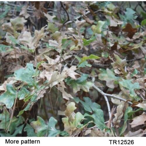 CA019 Printing Materials 50 square Width 1m camo transfer film