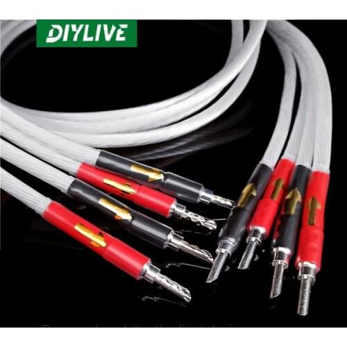 Dutch single crystal silver 5NOCC banana head tooth piece 4 speaker wire HIFI burning grade sound wire, the power amplifier