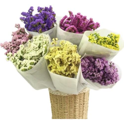 10Pcs Preserved Fresh Dried Forgetful flowers Branch For Wedding Home Party Holiday Decorate DIY Bouquet Project Accessory SAD70