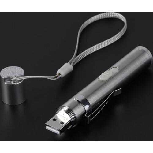 3 In 1 Cat Chaser USB Charge Pflichtige Fun Traning Toys Silver Interactive LED Light Pen Pointer Flashlight For Fake Currency D