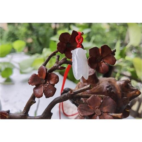 Natural Jade Cicada Pendant Jadeite Emerald Necklace Carved Charm Jewellery Fashion Amulet for Men Women Lucky Gifts