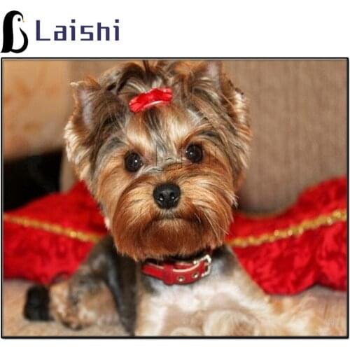Yorkshire Terrier Full Square Round Diamond Painting animal Diamond Cross Stitch Diamond Art Animal Embroidery Home Decoration
