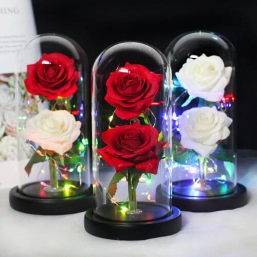 Beauty And The Beast Two Rose, Rose In Glass Dome, Forever Pink, Red Rose, Preserved Rose, Belle Rose Special, Romantic Gift