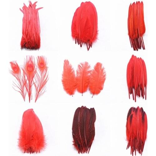 Beautiful 20pcs 16kinds Red pheasant Rooster chicken Duck feather 5-30cm Ostrich Peacock Turkey Goose feathers DIY crafts plumes