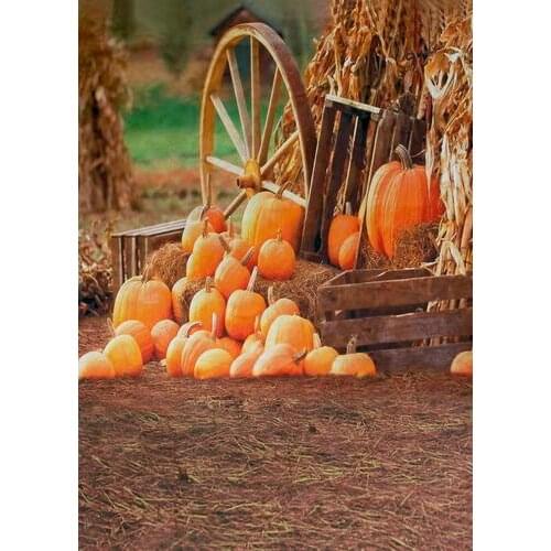 Colorwonder Tricycles