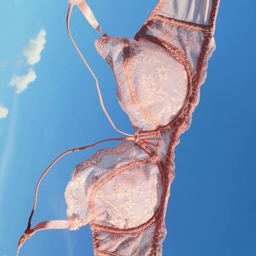 2020 french sexy lace transparent underwear women bra and panties set plus size bras for women push up lingerie sets pink white