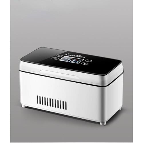 GY Cold Storage Box Portable Rechargeable Mini Portable Mini Refrigerator Car Refrigerated Thermostat