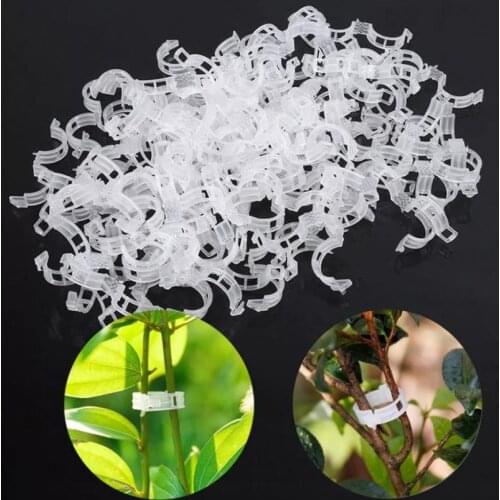 HOT 50/100 Pcs Plastic Plant Support Clips For Tomato Hanging Trellis Vine Connects Plants Greenhouse Vegetables Garden Ornament