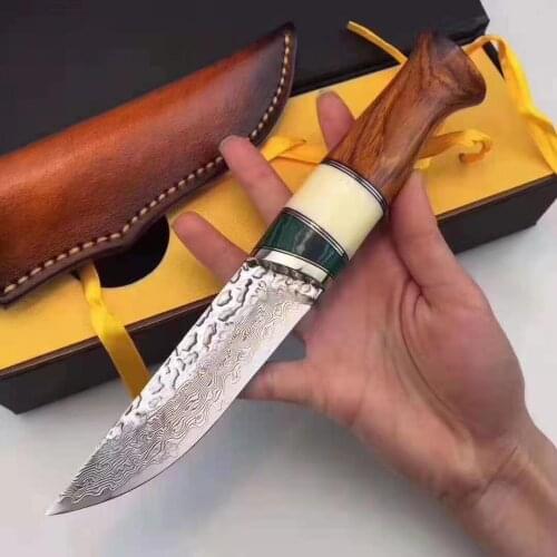 VG10 Damascus Steel Hunting Knife Outdoor Camping Tactical Survival Pocket Knife Gift Leather Sheath Portable Defense Knife