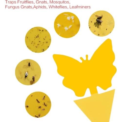 Flie Traps Bugs Sticky Board Dual-Sided Sticky Traps Flying Plant Insect Catcher Lightweight,Flying Plant Insect Catcher