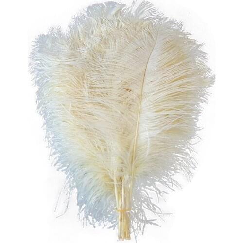10pcs Cream White Ostrich Feathers 14-16 inches/35-40cm for Party/Wedding Decoration Plumes Natural Ostrich Feather Provide