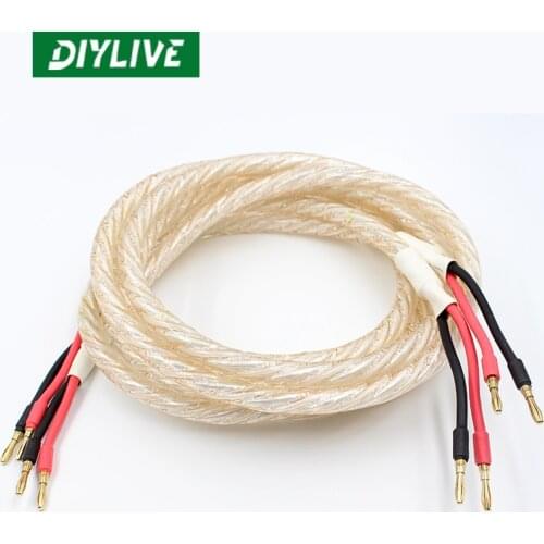 DIYLIVE Original American LITON LITON LT-180A speaker wire banana horn wire finished 2.5 meters