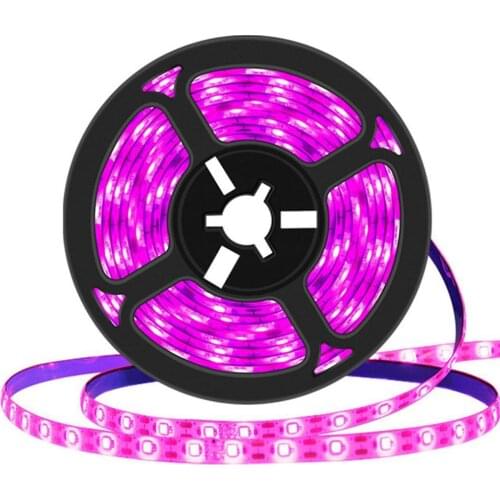 Светодиодные лампы для растений KITPIPI China At AliExpress