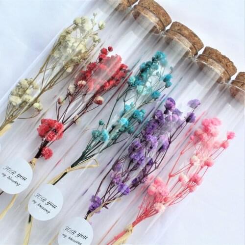 Decoration Mini Wishing Bottle, Glass Test Tube, Dried Flower, Rose, Gypsophila, Creative Gift, Hand-held Gift Box With Bouquet