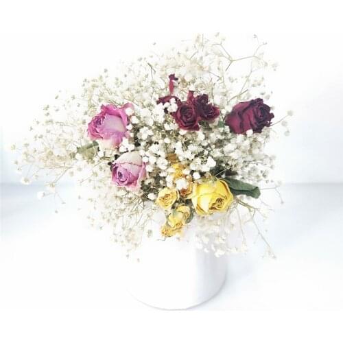 Natural Dried Flower Rose Gypsophila Bouquet Valentines Day Gift Home Decoration Accesories Window Ornaments Shooting Props