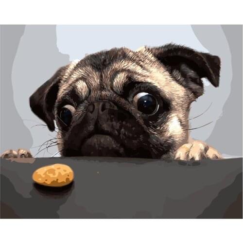 NEW DIY Framed Dog Biscuits Oil Painting By Numbers Animal Anime Colorful Paint Wall Art Picture for Living Room Home Decors4050