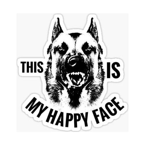JuYouHui Exterior Accessories Decal THIS IS MY HAPPY FACE Belgian Malinois Vinyl Decals Sticker for Window Sign Pet Dog