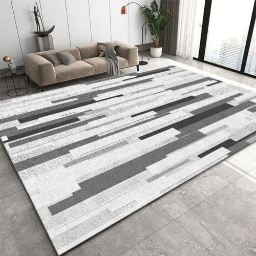 Light Luxury Thick Carpet for Living Room Rug Bed Room Fluffy Large Area Floor Carpets Window Bedside Home Decor Rugs Mat