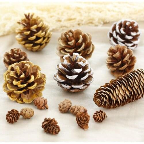 Christmas Decoration Natural Pine Cones Pine Cones Larch Golden White Shooting Props Background Home Decorations