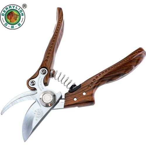 Berry Lion Building Tools