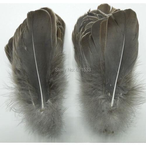 Fly tying materials!200units/lot DIY Clothing accessories Goose Nagoire feathers 13-18 cm long gray Goose feathers