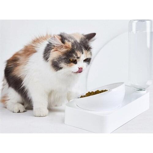 Food Grade PP Dual Use Pet Automatic Water Dispenser Pet Dog Cat Food Bowl With Automatic Water Bottles For Feeding and Drinking
