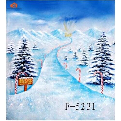 New arrival 10' X 20'/3X 6m Snow Scenic photographic background,hand Painted Muslin photography backdrops christmas F5231
