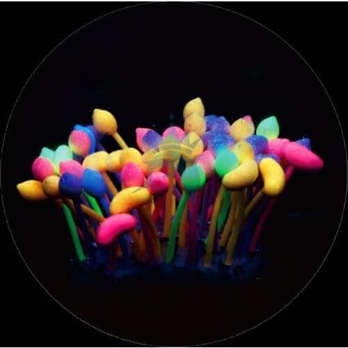 Aquarium Decoration Aquarium Landscaping Womens Clothing Accessories Plastic Luminous Color Artificial Coral Small Size