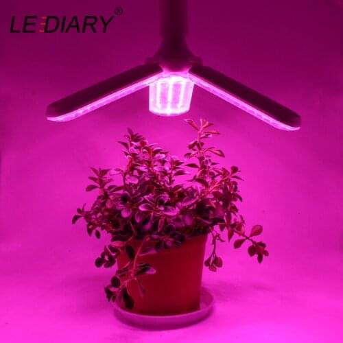 LEDIARY Plant Lamps