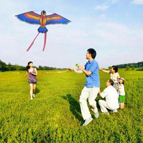 Outdoor Parrot Bird Flying Toys 1.1m Cartoon Parrot Toys Kites Children Bird Line Handle with Flying Kite Outdoor Plastic S G0J7